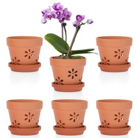 JUXYES Pack of 6 Small Terracotta Orchid Pots with Holes and Saucers, 4 Inches Clay Orchid Planter Pots for Repotting, Plant Flower Pots for Orchid Indoor and Outdoor Promotes Air Circulation