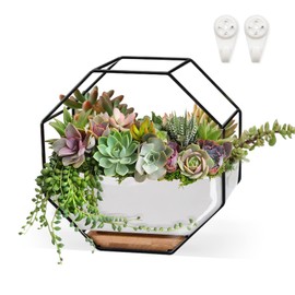 ChiRee Succulent Planters 7×3.5 Inch Decorative Ceramic Flower Plant Pots with Metal Holder Hanging and Place Dual-Purpose Garden Planter Pot with Drainage and Saucer for Indoor Home Office Desktop
