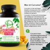 MeinVita Curcuma (Turmeric) - 100% Vegan - High Dose -