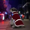 Warm Waterproof Dog Coat With Fleece Lining - Rain Jacket,