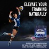 Vega Micronized Creatine Monohydrate Powder, Unflavored – 5g Pure Vegan