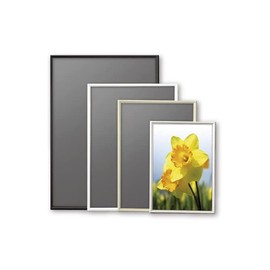 Arte Poster Frame, Shape