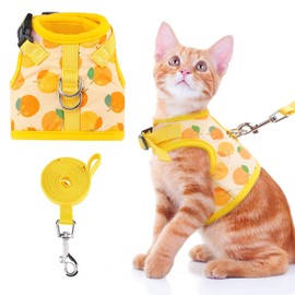 BINGPET Cat Harness with Leash Escape Proof - Fashionable Mesh Cat Dog Walking Harness Leads, Adjustable for Kitties Puppies Small Animals,Orange,S
