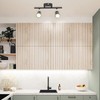 Flush Mount Ceiling Track Light Holder 2 Light Rotating Adjustable