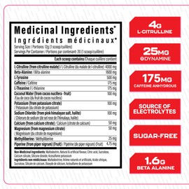 Batch 27 Lite Pre Workout Powder - Clean Energy, Intense Pumps, Strength & Endurance - L Citrulline, Beta Alanine, Caffeine, Dynamine, & Electrolytes - Nitric Oxide Booster - 20 Serv, Strawberry Cream