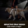 Eyein No Pull Dog Harness Medium, Comfortable Heavy Duty Pet