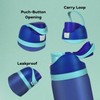 Stainless Steel Water Bottle with Straw, 24 oz, Thermal Insulated,