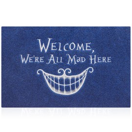 AOAOPQ Funny Door Mats Outdoor Entrance Welcome Mats Outdoor Entrance Door Mats for Front Door Home Lobby Farmhouse Office Patio Garage Bathroom Blue