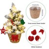 24 Inch 2 FT Pre-lit Snowy Mini Christmas Tree, Brelixo