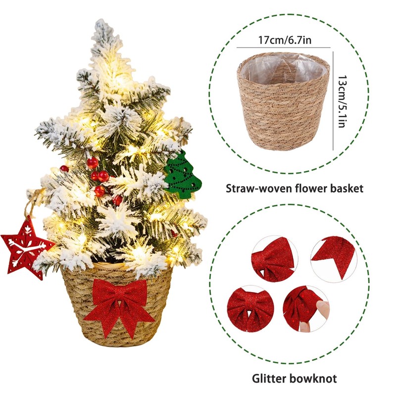 24 Inch 2 FT Pre-lit Snowy Mini Christmas Tree, Brelixo