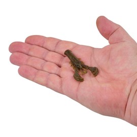 Berkley PowerBait MaxScent Lil' Super Trooper Fishing Soft Bait