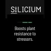 SiLicium Original - Monosilicic Acid Boosts Nutrient Uptake 100 ml