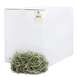 Small Pet Select 1St Cutting High Fiber Timothy Hay Pet Food, 40 lb