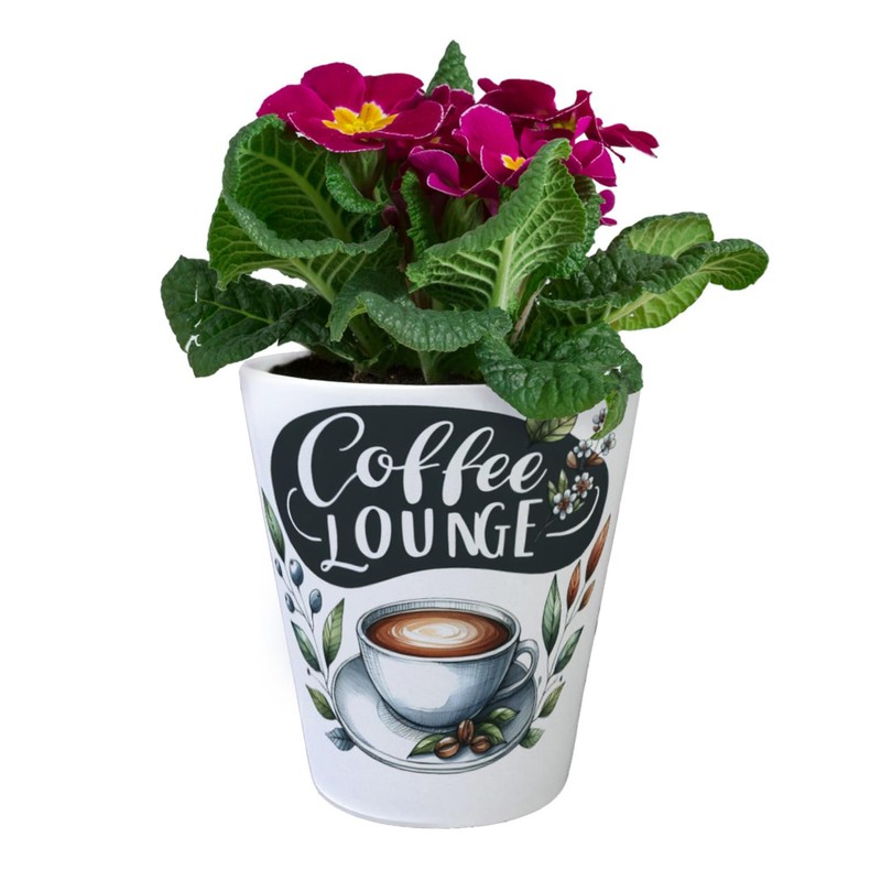 speecheese Coffee Lounge Flower Pot Perfect for Coffee and Tea