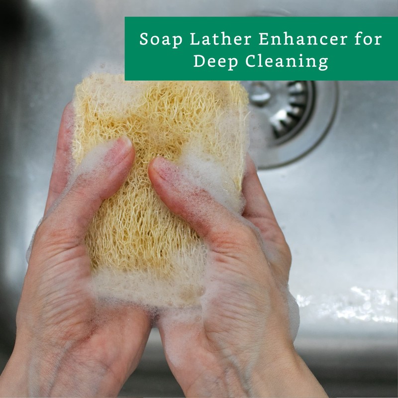 Natural Loofah Kitchen Sponge (3 Pack) - Natural Sponges for
