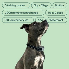 [Houndware] HW101 Remote Dog Training Collar with Beep Tones, Vibration, Static, Waterproof, Safe Anti Barking Device for Dogs, Dog Bark Collar for Small Medium Large Dogs (1 Collar)
