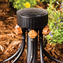DIG AD6 6 Outlet Adjustbale Manifold on 1/2" FPT Drip Water Connection, Black, Brown