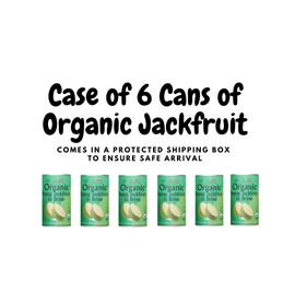 Jiva Organic Young Green Jackfruit 14 Ounce (Pack of 6) - BPA Free, Gluten Free, Jackfruit Canned, Delicious Vegan Meatless Alternative