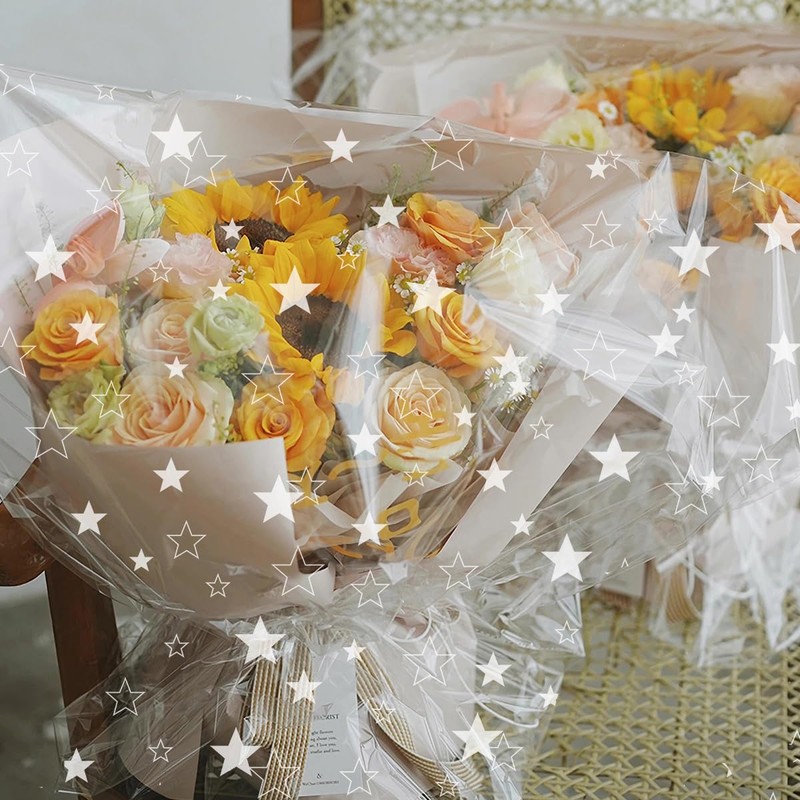 ADQUATOR 5m×80cm White Star Hamper Wrapping Cellophane Paper Sheets,100% Recyclable