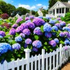 50 Pcs Mixed Blue Hydrangea Seeds Giant Snowball Hydrangea Non
