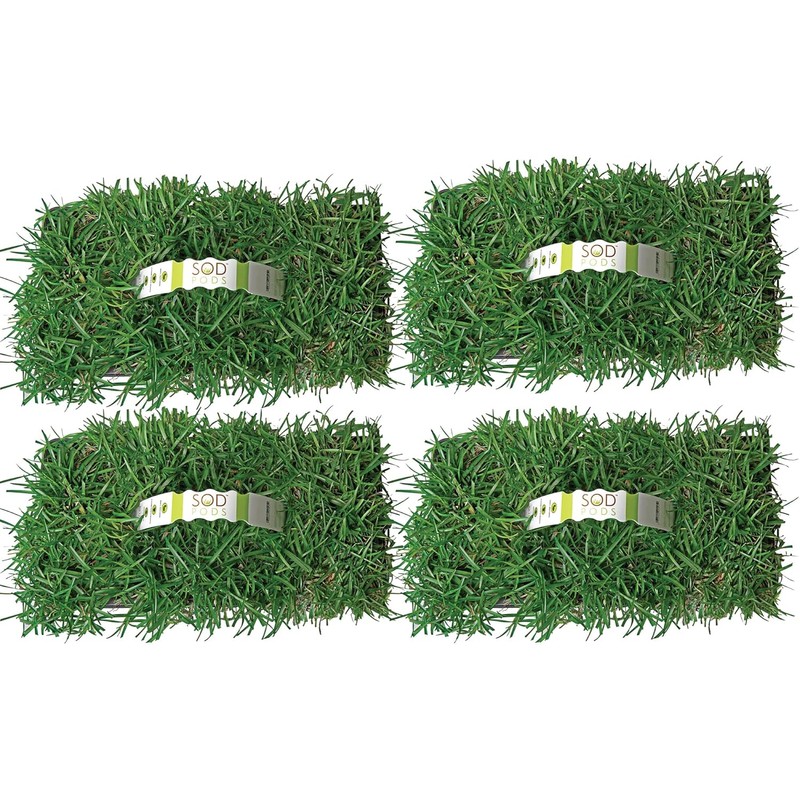 SodPods® Centipede Grass Plugs for Lawn Repair, 3" x 3"