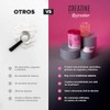 BIRDMAN Creatine Refresher | Creatina Monohidratada con Electrolitos y Magnesio