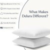Delara Throw Pillow Inserts 16X16 Set of 2 - Organic