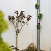 UPP Downpipe Flower Pots Practical and Easy Upgrade of All