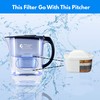 Life Ionizer - Pitcher of Life Improved 2024 - Alkaline