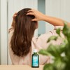 Weleda Rosemary Conditioning Hair Oil, 1.7 Fl Oz (Pack of