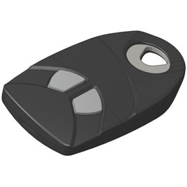 Intratone Eco 2-Channel RF Remote Control