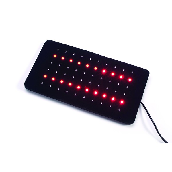BioTech LED Pain Reliever