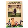 BANBERRY DESIGNS Rainbow Bridge Pet Memorial Keepsake - Remembrance Picture