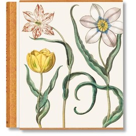 Basilius Besler The Garden at Eichstätt Set: Florilegum / Garden at Eichstatt / Book of Plants (1-3)