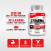 Creatina Platinum Testrol | 120 Cápsulas | Aumento de Fuerza