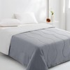 EASELAND Twin Tencel Cooling Comforter for Hot Sleepers - Double-Sided