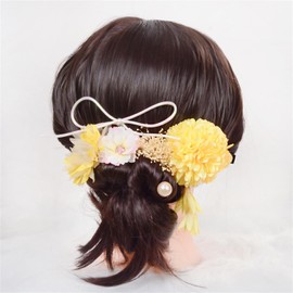 Coming-of-age Ceremony, Hair Ornament, Dried Flower, Dahlia, Hydrangea, Graduation Ceremony, Artificial Flower Decoration, Cute, Hair Accessory, Mizuhiki, Head Part, Furisode, Front Photography,