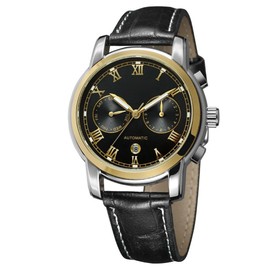 FORSINING Calendar Waterproof Automatic Mechanical Leather Strap Male Watch(Black+Gold+Black)
