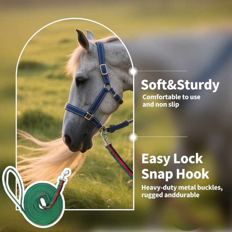 Lunge Line for Horse, Premium Equine Lunge Line with Swivel