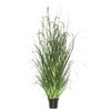 Vickerman TN171224 Everyday Grass Plant