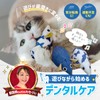FelineBees Toothpaste Oral Care Cats Toy, Touch and Sound Mouse