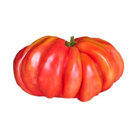 Zapotec Pleated Heirloom Tomato 10 Seeds