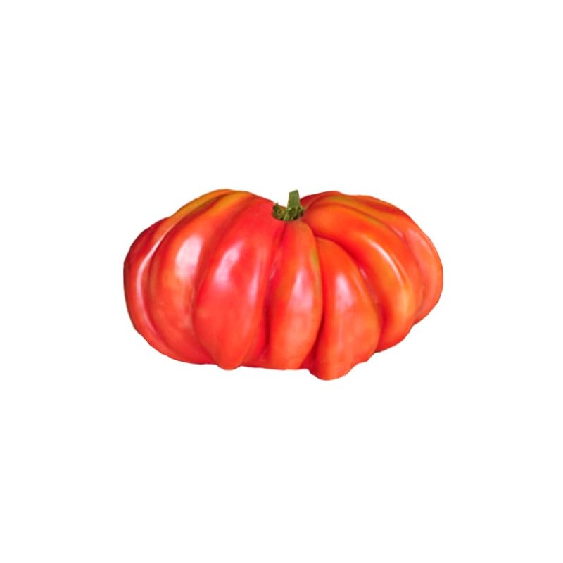 Zapotec Pleated Heirloom Tomato 10 Seeds