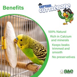 A&E Cage Company Captain Cuttlebone 5" Flavored Cuttlebone for Birds – Twin Blister Pack Calcium Supplement – Beak Conditioning Mineral for Parakeets, Budgies, Finches, Canaries & Lovebirds