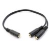 35SF-35SF2 Audio Distribution Cable (3.5mm Stereo (Female) and 2 x