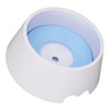Pet Slow Water Feeder Splash Proof Prevent Slip Raised Water