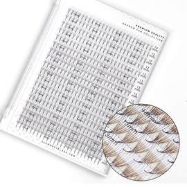GLAMOREYELASH 440-460 Promade Narrow Fans Mix 4 | Natural XL Trays Eyelash Extension 4D~8D | Handmade Individual Lashes Extension with 0.05/0.07mm Thickness of Mink Lashes | C CC D Curl for Cat Eye Lashes | 8 - 16mm Length for Fluffy Eyelash Cluster(8D-0