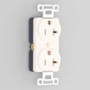 American Ltd. Compound Embedded Outlet White Grounded Shape 2p250vnema6 –