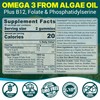 Algae Omega 3 Gummies 1000mg, Plant Based DHA 460mg &