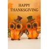 iStatue Set of 2 Thanksgiving Decorations Owl Figurines – Hand-Painted